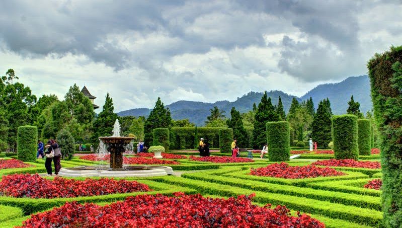 Wisata Alam Jabodetabek - Taman Bunga Wiladatika