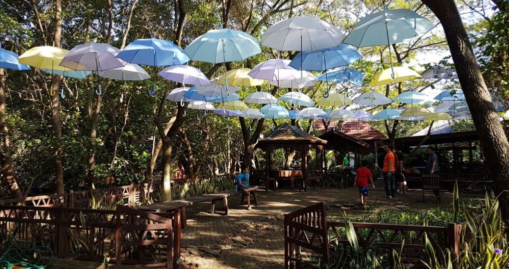 Taman Wisata Alam Angke Kapuk Kantin Lesehan