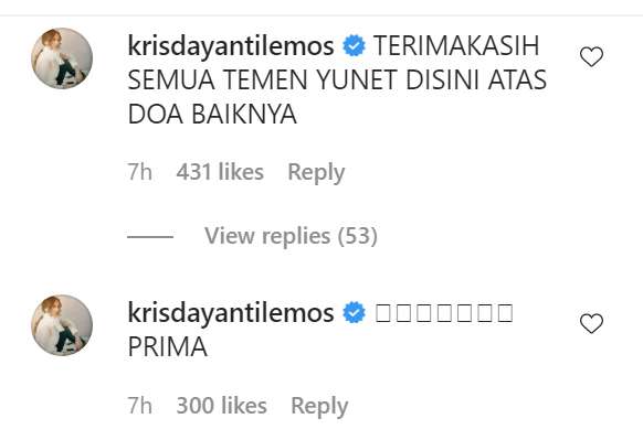 Komentar Krisdayanti