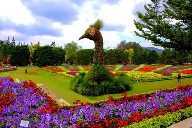 Wisata Kota Bogor - Taman Bunga Nusantara