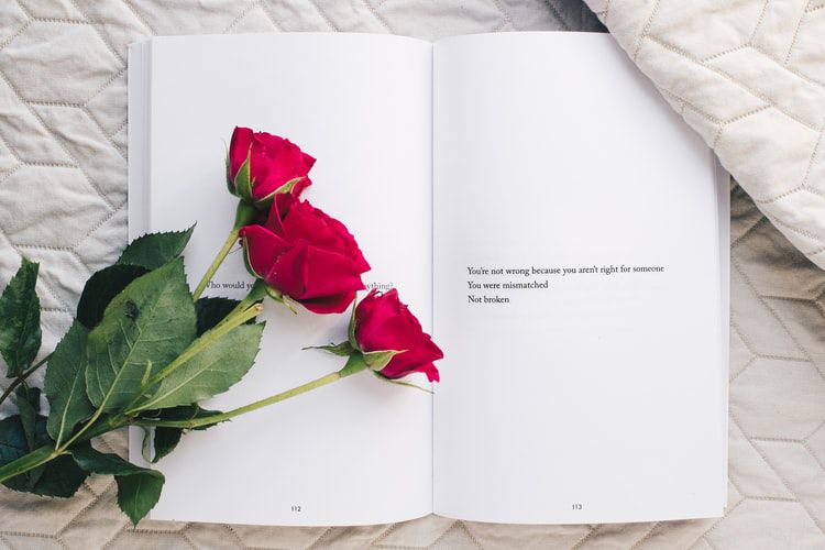 Kata Bijak Mutiara Tentang Bunga Mawar