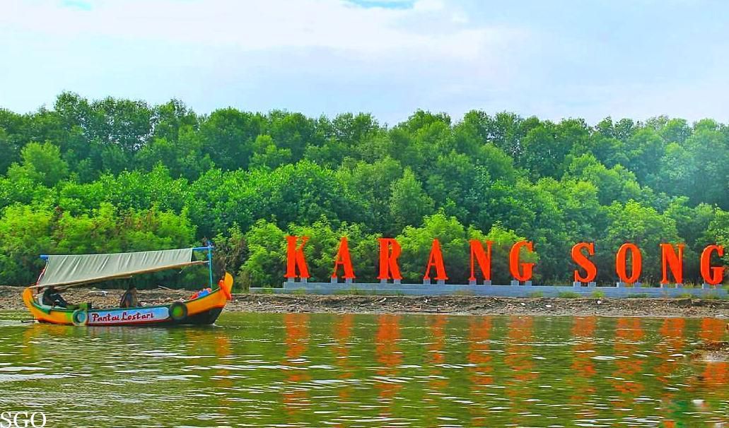 Wisata Indramayu - Hutan Mangrove Karangsong