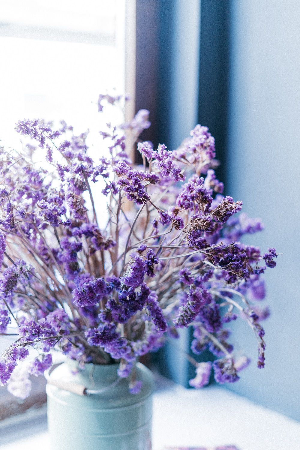 Jenis Bunga Hias Lavender