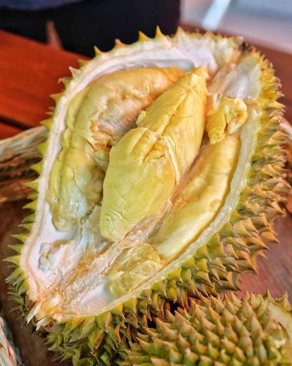 Ilustrasi Durian