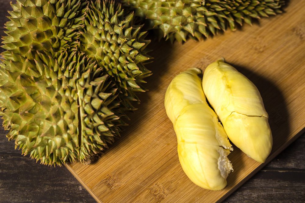 Ilustrasi Durian