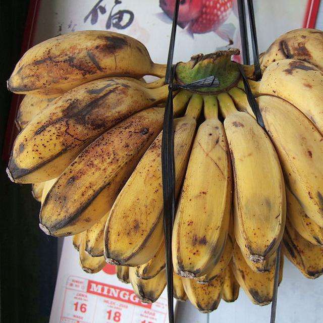 Pisang Kepok