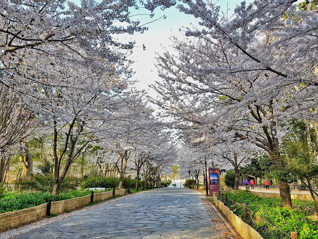 Daewangam Park