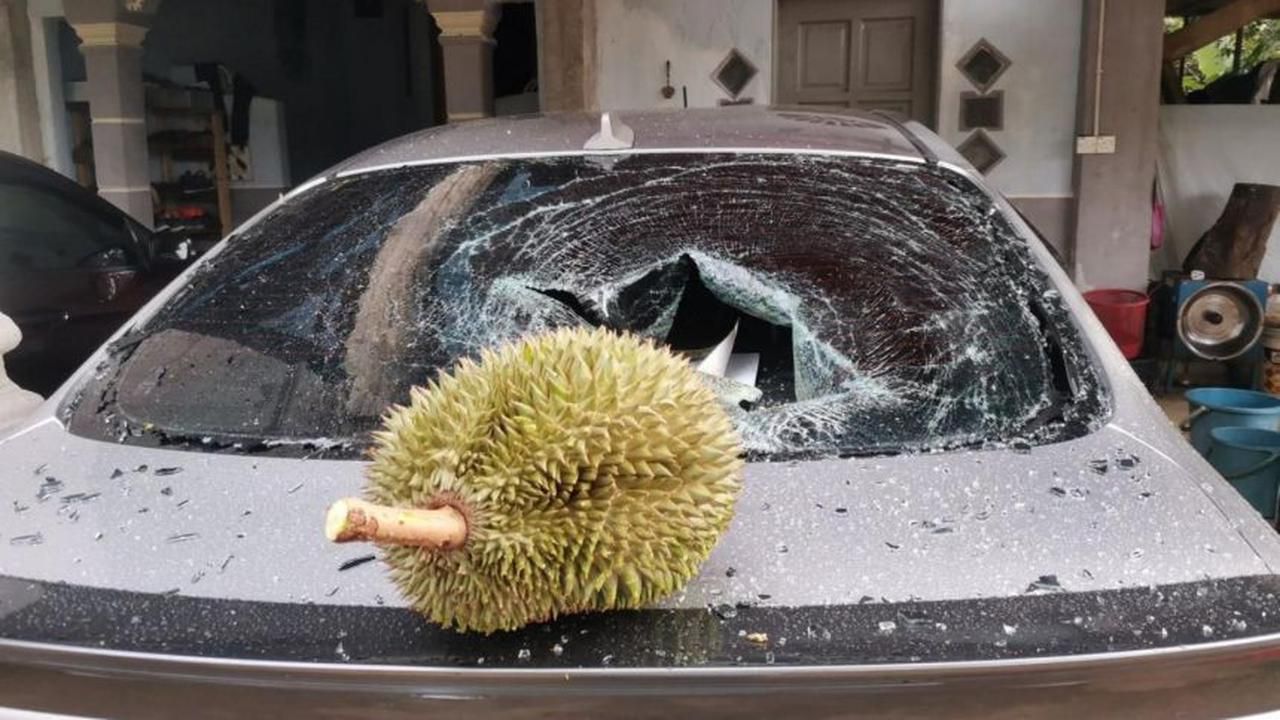 Durian Rp 1,7 Juta