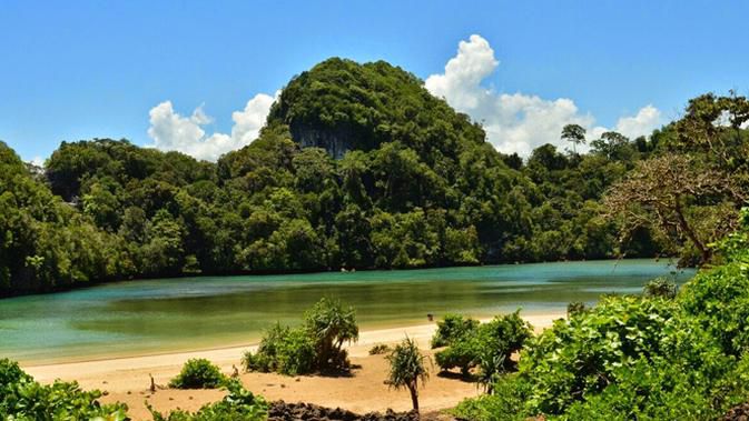 Tempat Wisata di Malang Selatan - Segara Anakan Pulau Sempu