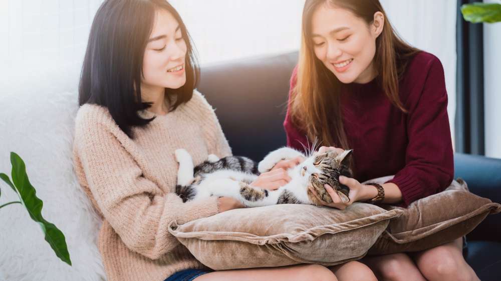 Ilustrasi Wanita dengan Kucing