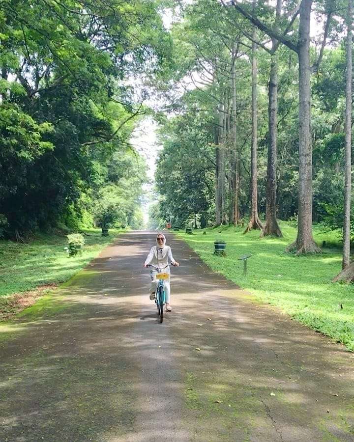 Kebun Raya Purwodadi