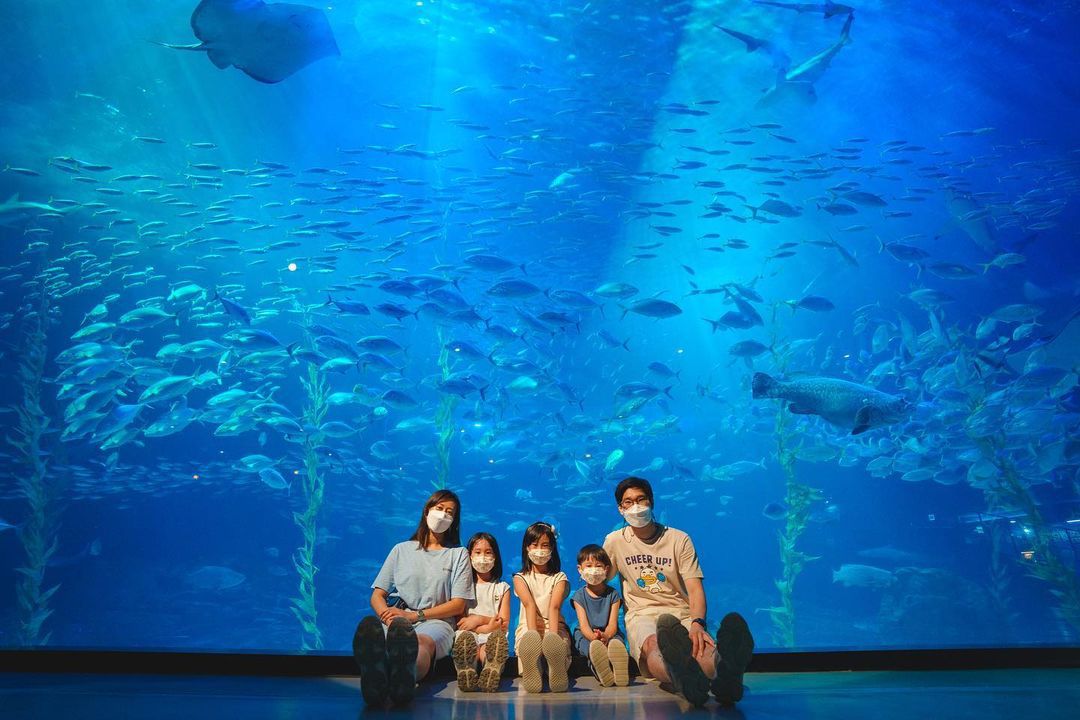 Jeju Aquarium Aqua Planet