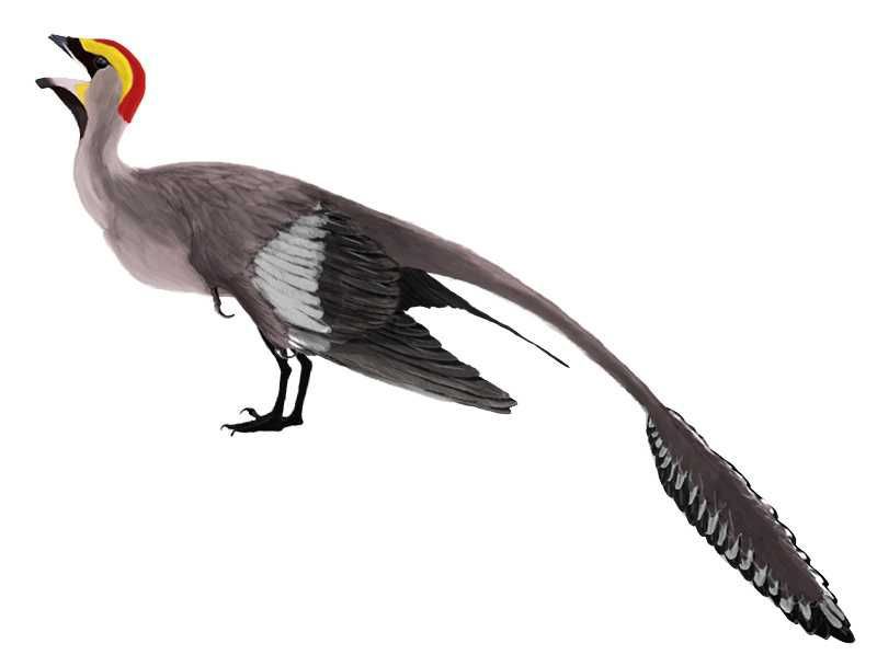 Jenis Dinosaurus Terbang