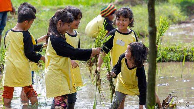 Kampung Wisata Cinangneng - Harga Kampung Wisata Cinangneng