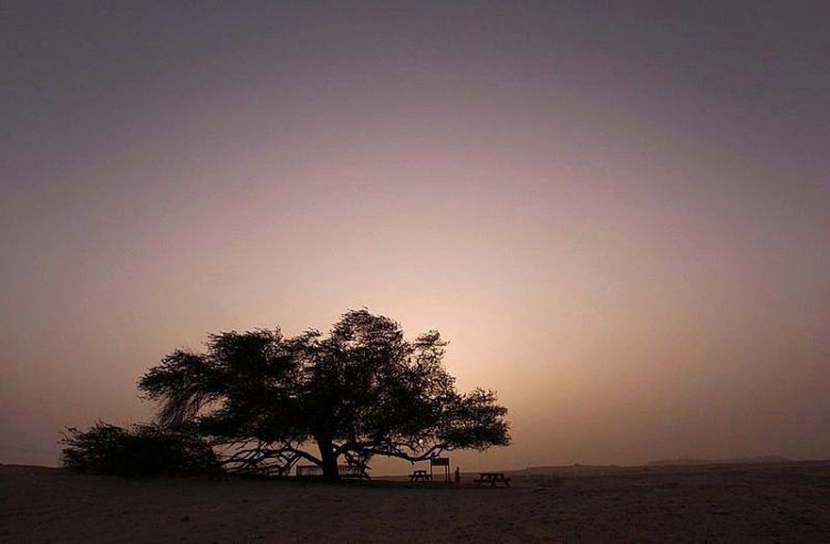 Nama Nama Negara - Tree of Life di Bahrain