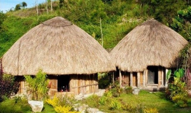 Rumah Adat di Papua Dikenal dengan Nama