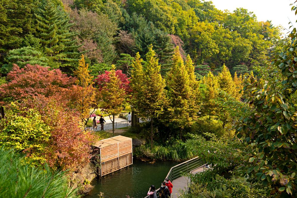 Hwadam Botanic Garden di Gwangju, Gyeonggi-do