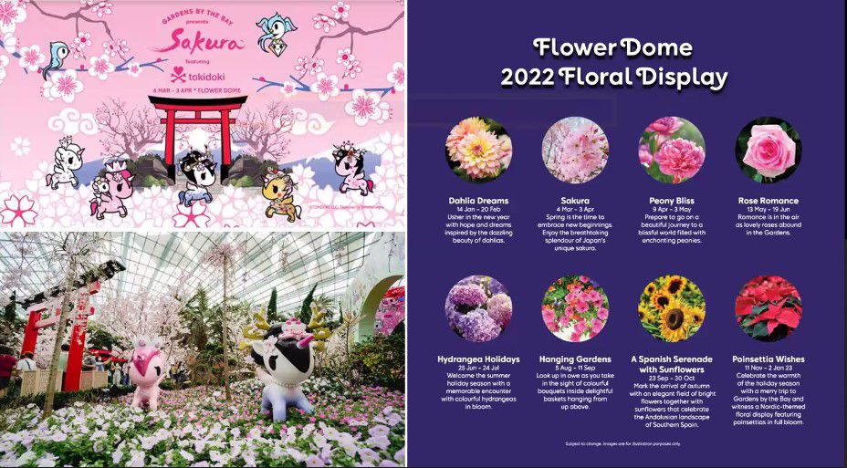 Flowers Dome 2022 Floral Display