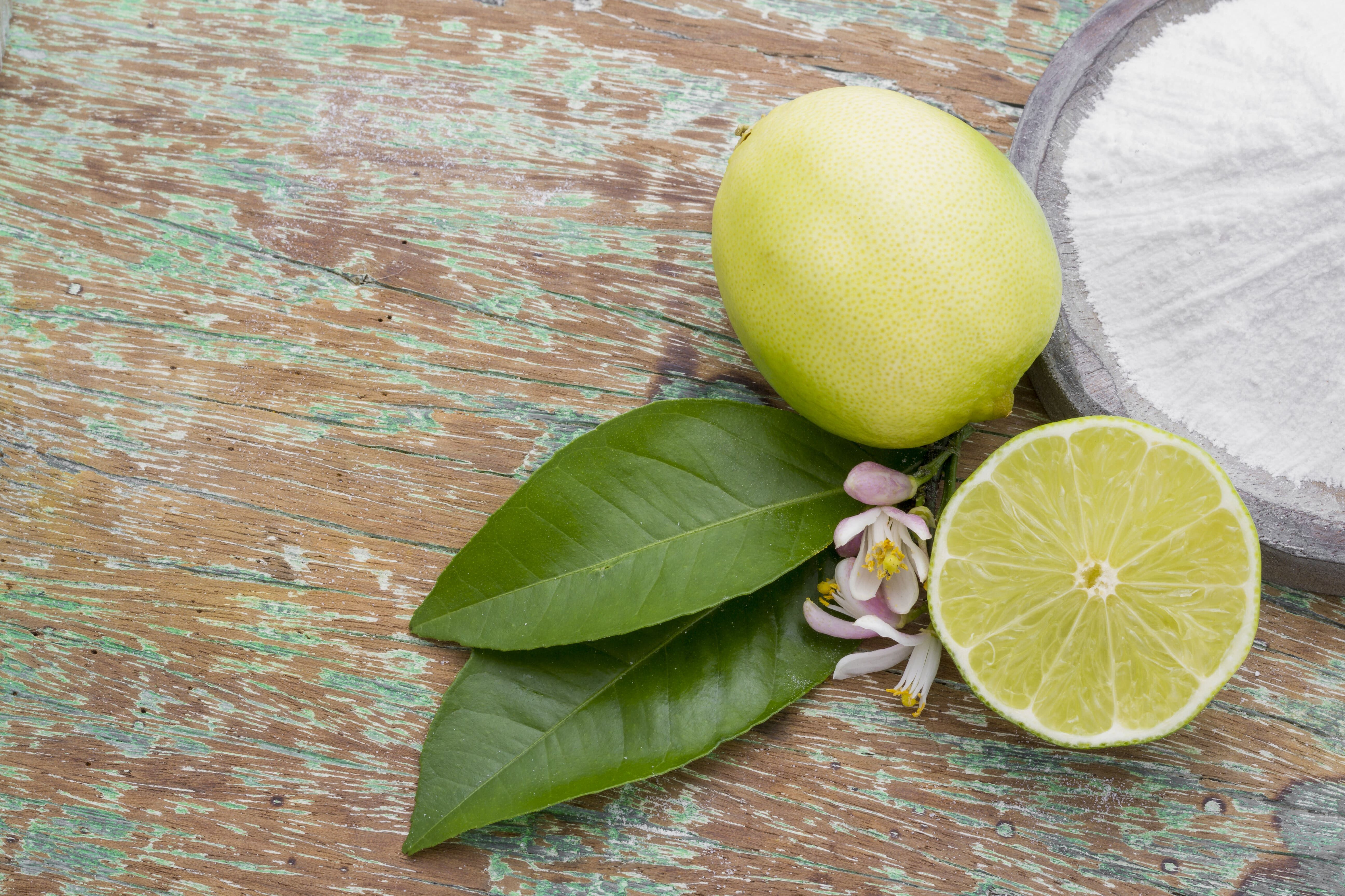 Cara Mengusir Semut di Meja Makan - Lemon