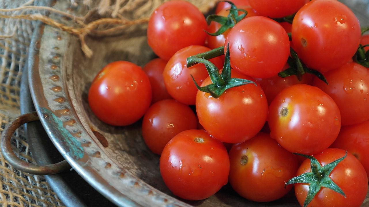Cara Menyimpan Tomat Agar Tahan Lama