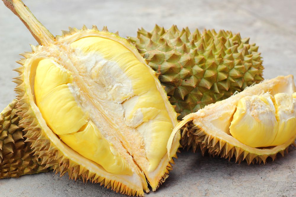 Tips Memilih Buah Durian