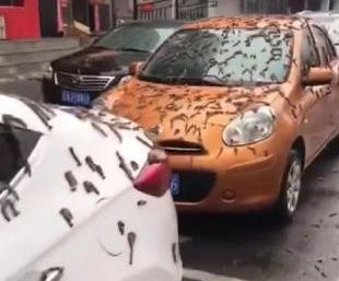 Hujan Cacing di China