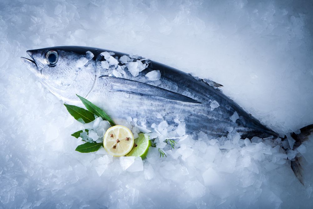 Tips Menyimpan Ikan di Kulkas