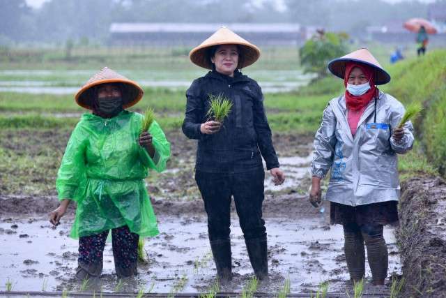 Kepedulian Puan Mahrani untuk Perjuangkan Kesejahteraan Petani