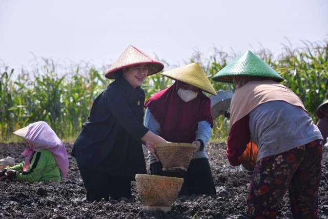 Kepedulian Puan Mahrani untuk Perjuangkan Kesejahteraan Petani