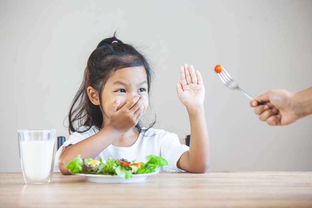 Tips Agar Anak Tidak Susah Makan