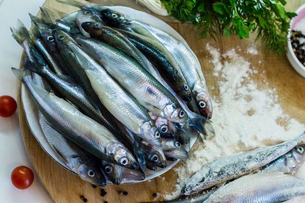 Tips Masak Ikan Tongkol Agar tidak Gatal