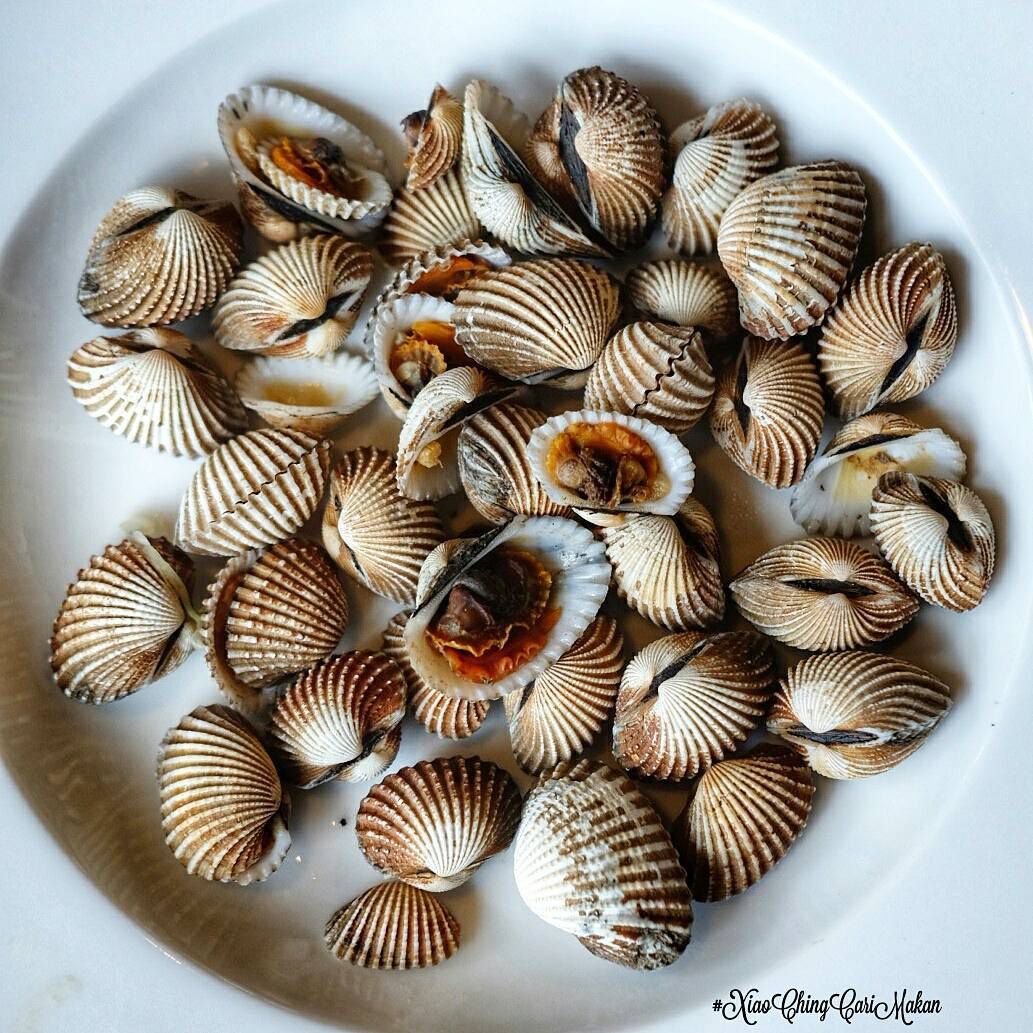 Cara Merebus Kerang Dara