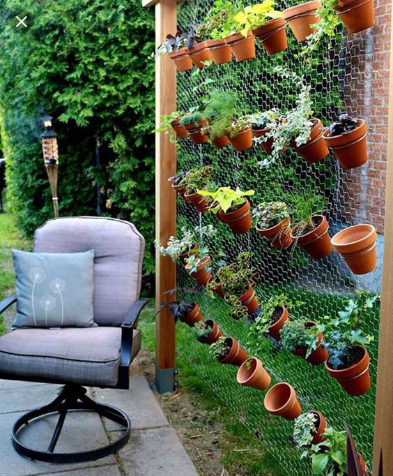 Ide Kreatif Membuat Kebun Sayur di Pekarangan Rumah