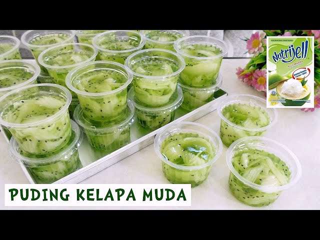 Puding Kelapa Muda Sederhana dan Menarik