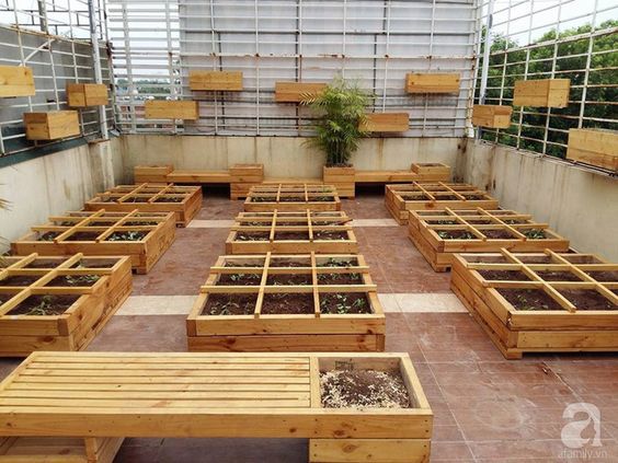 Cara Membuat Kebun Sayur di Atap Rumah