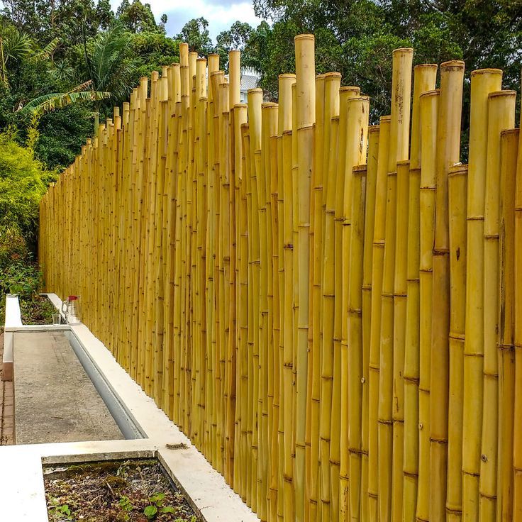 Pagar Bambu Minimalis Estetik