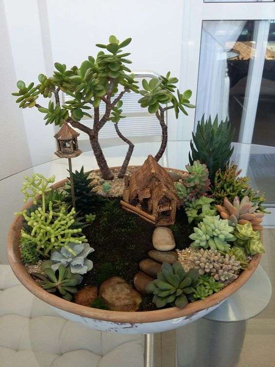 Inspirasi Taman Bonsai Depan Rumah