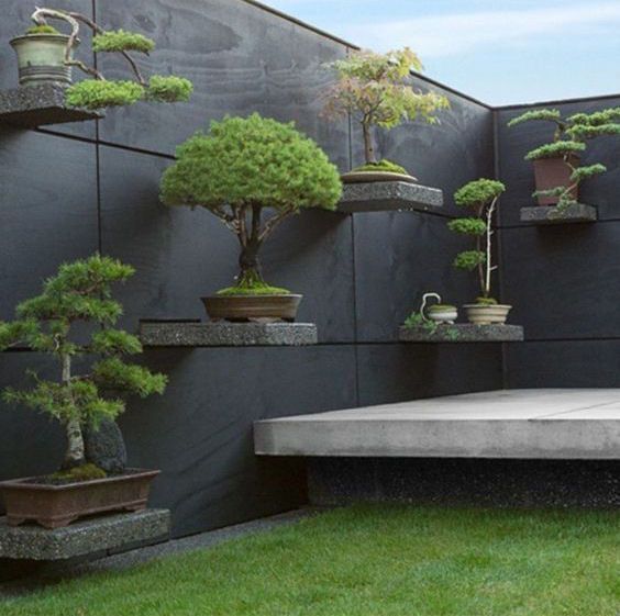 Inspirasi Taman Bonsai Depan Rumah