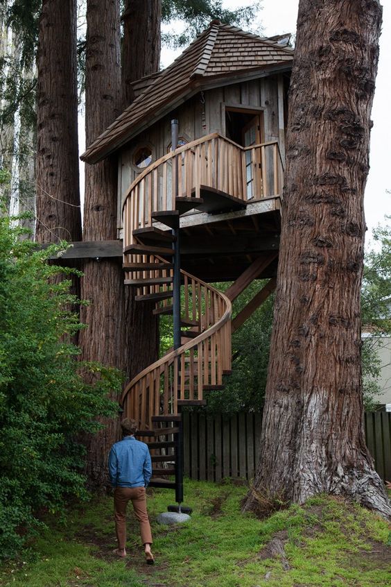 Desain Rumah Pohon Estetik