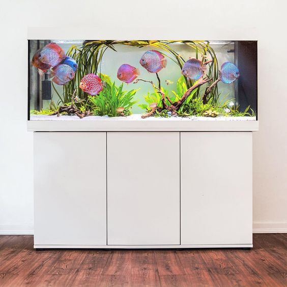 Inspirasi Desain Ruang Tamu dengan Aquarium
