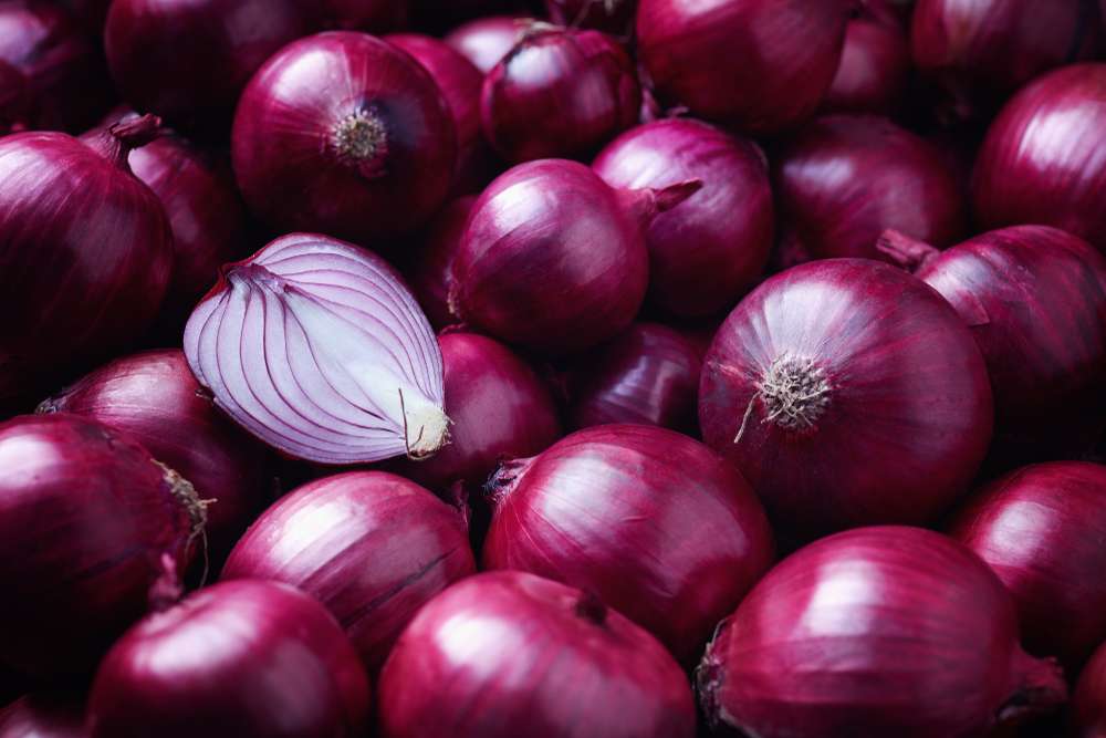 Mengusir Tikus Pakai Bawang Merah