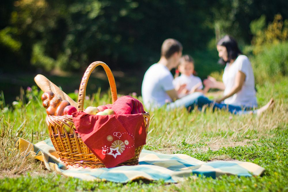 Ilustrasi Piknik bersama Keluarga