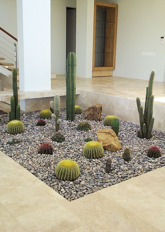 Taman Kaktus Minimalis