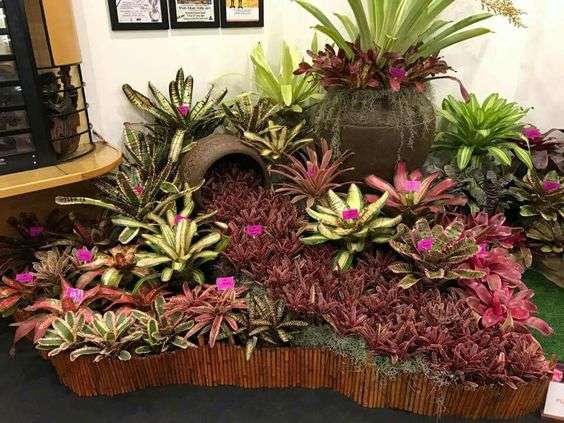 Taman Bromelia Minimalis