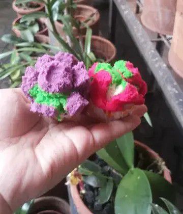 Resep Bolu Kukus Rainbow Pisang