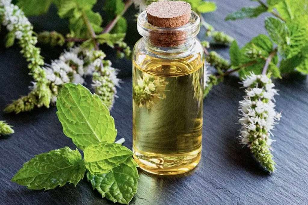 Cara Menghilangkan Bau Badan - Pakai Minyak Peppermint