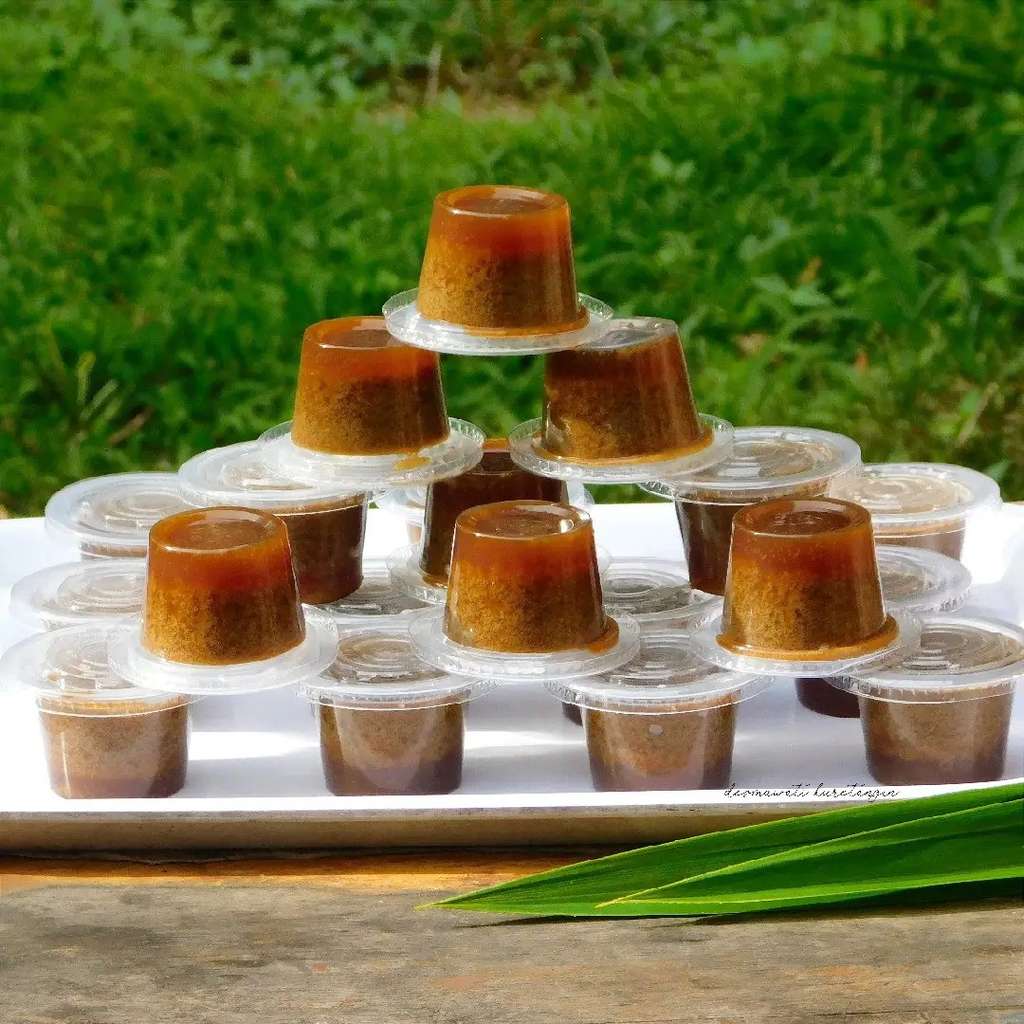 Resep Agar-agar Sarikayo Kekinian