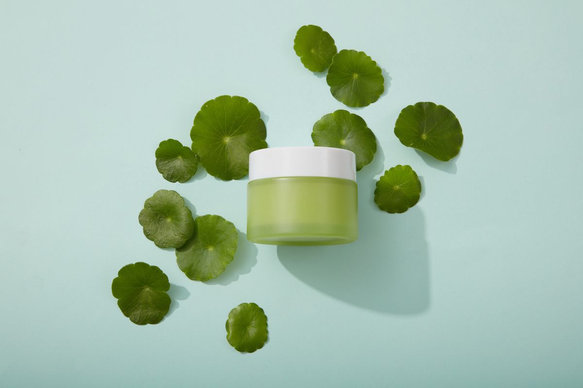 Kandungan Skincare Untuk Awet Muda - Centella Asiatica