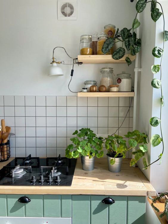 Desain Dapur dengan Tanaman