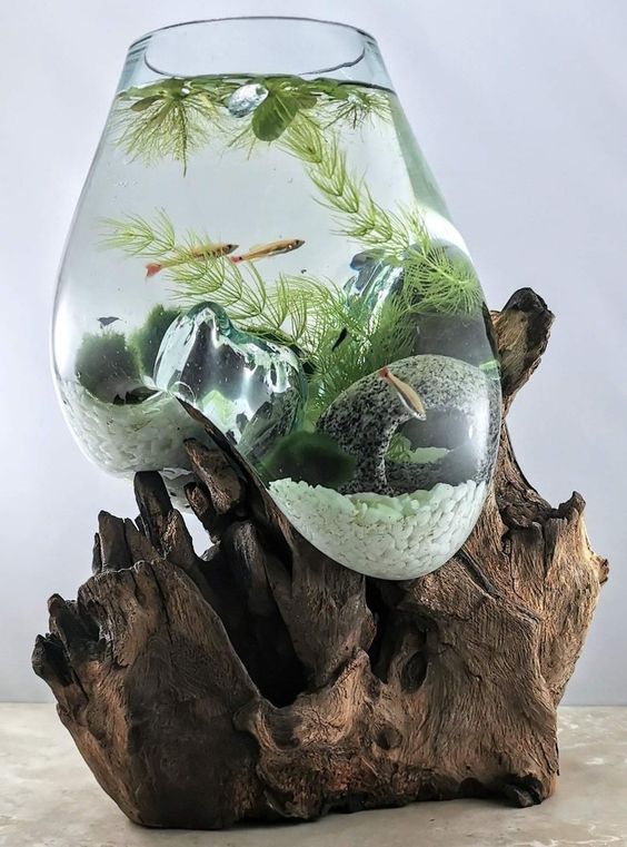 Desain Aquarium Mini di Kamar